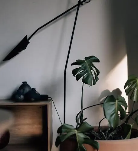 Casa Agustina Apartamento *